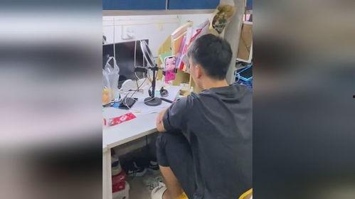 男生打架吃瓜视频,一视频见证男生激情对决，吃瓜群众围观热议