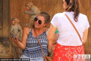 印度人看猴子吃瓜视频,猴子吃瓜视频引发热议，揭秘印度人与猴子的和谐共生