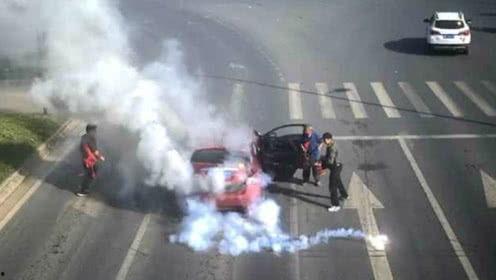 遇狼吃瓜人在线观看视频