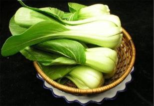 瓢瓜能做什么菜吃呢视频,创意菜谱大揭秘