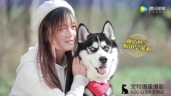 吃瓜小狗拍照视频素材,吃瓜小狗拍照瞬间，萌态十足！