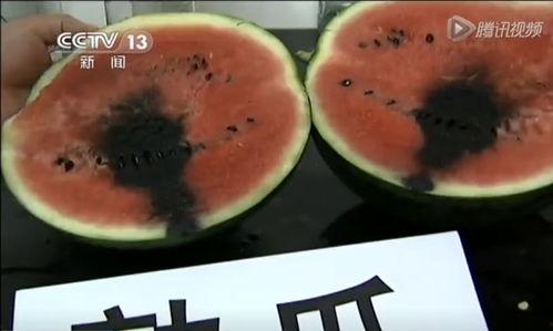 咖啡店的吃瓜视频在哪看,咖啡店吃瓜视频，热门内容一网打尽！