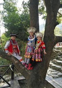 苗寨吃瓜事件是真的吗视频,真相揭秘，视频还原现场