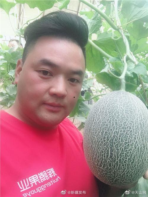水果哥直播吃瓜视频,一场别开生面的吃瓜盛宴