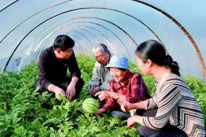 人民公园吃瓜群众视频大全,趣味横生的街头百态